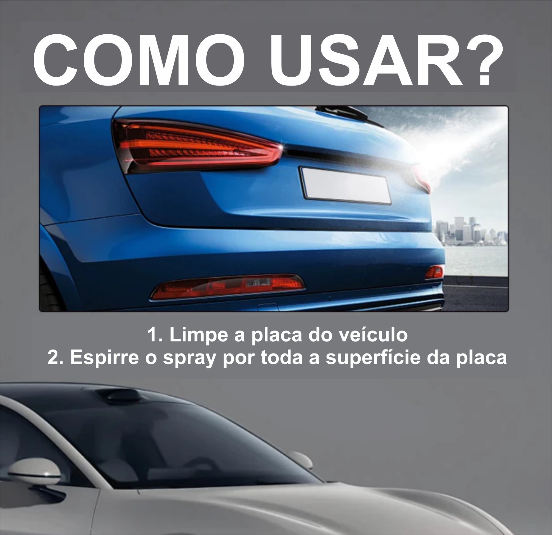Spray de Revestimento de Placa FlexPro© - Dumas Shop