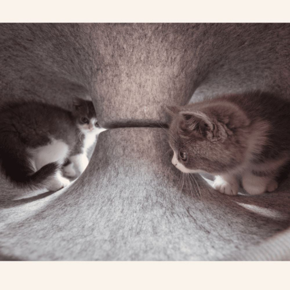 Brinquedo/Cama Rosquinha para Gatos