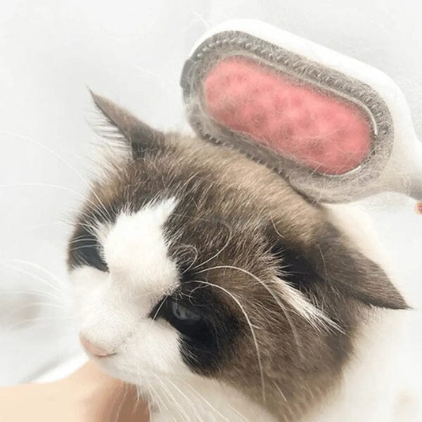 Escova de Pelos para Cães e Gatos - PetPro®