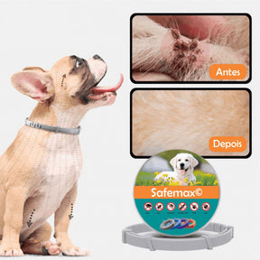Coleira Anti Pulgas - 8 Meses de Proteção - SafeMax 