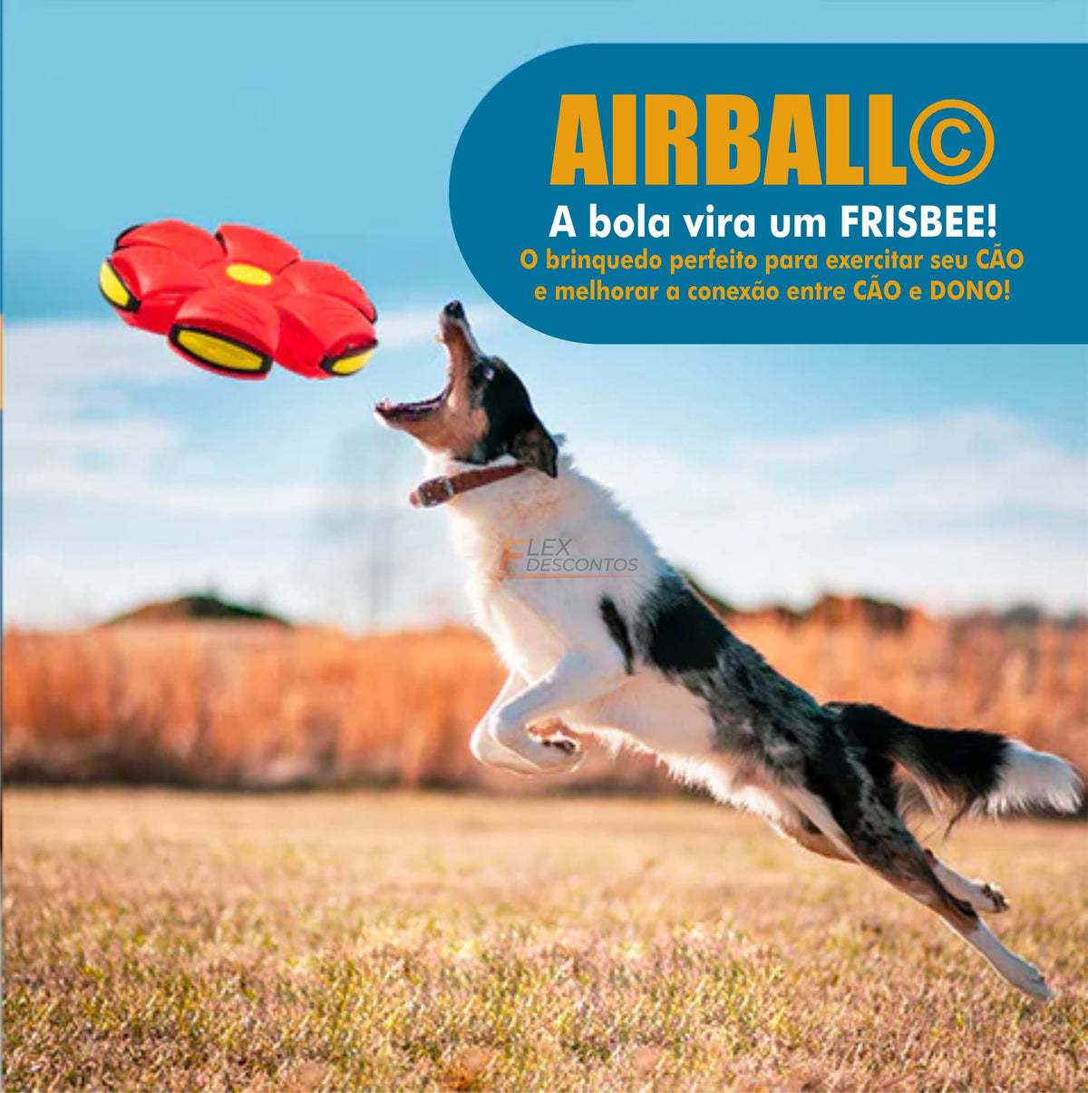 Bola Voadora para Cães - Airball© 